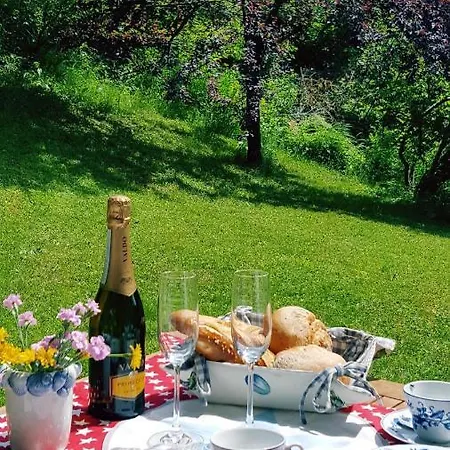 Buchensteinblick * Sankt Jakob in Haus